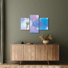 Obraz - Púpava vo vetre (90x60 cm)