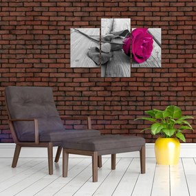 Obraz - Ružová ruža (90x60 cm)