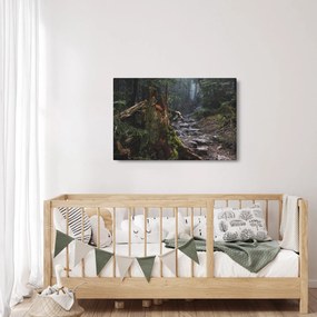 Obraz - V lese (90x60 cm)