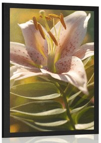 Plagát nádherný kvet s retro nádychom - 20x30 black