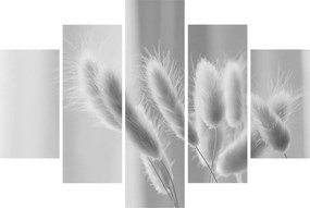 Obraz - Bunny tail grass (150x105 cm)