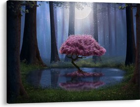 Obraz - Magická noc (70x50 cm)