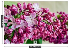 Fototapeta Vliesová Ružové ľalia 416x254 cm