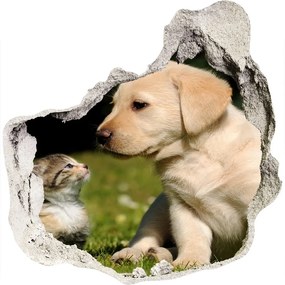 Fototapeta diera na stenu 3D Pes a mačka na lúke nd-p-38411802