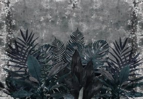Fototapeta - Rastliny v tme (147x102 cm)