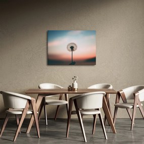 Obraz - Držím ťa, púpava (70x50 cm)