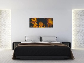 Obraz - Slnečnica v čiernom pozadí (120x50 cm)