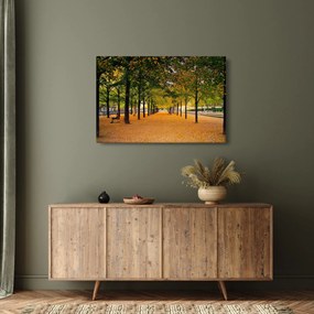 Obraz aleje jesenných stromov (90x60 cm)