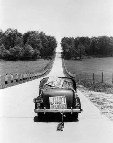 Umelecká fotografie Back View Of Car With Just Married Sign., H. Armstrong Roberts, (30 x 40 cm)