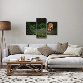 Obraz srnky (90x60 cm)