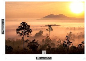 Fototapeta Vliesová Savana 416x254 cm