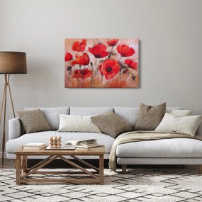 Obraz - Vlčie maky (90x60 cm)