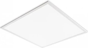 LED Podhľadový panel DAVRO LED/40W/230V 4000K 62x62 cm biela
