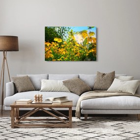 Obraz žltých kvetov (90x60 cm)