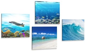 Set obrazov morský svet - 4x 60x60