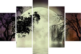 Obraz - Spln nad hladinou (150x105 cm)