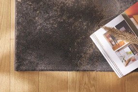 Koberec RAGOLLE Argentum 63934 3293