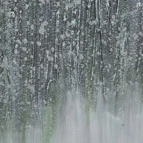 OBRAZ 618 140X70CM SIVÝ