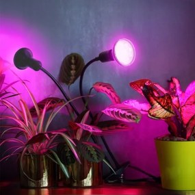 Flexibilná stolná lampa s klipom PLANTY 2xE27/30W/230V čierna