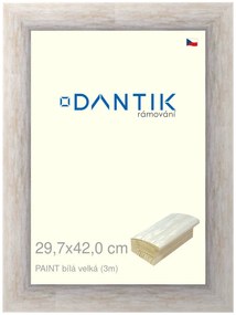 DANTIK rám na obraz 29,7x42 | PAINT bílá velká (Plexi Čiré)