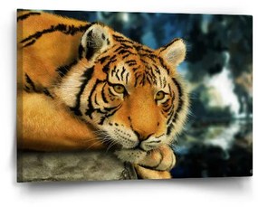 Sablio Obraz tiger - 60x40 cm