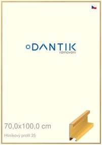 DANTIK rám na obraz 70x100 | ALU Dýha barevná žlutá (Plexi Čiré)