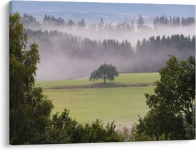 Obraz lúky so stromom (70x50 cm)