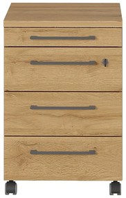 Antracitovosivá prírodná skrinka v dekore duba 42x61 cm Agenda - Germania