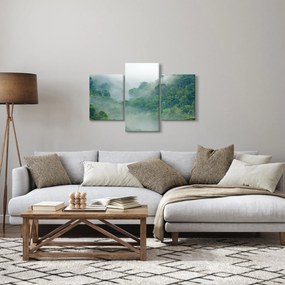 Obraz - Ranná hmla (90x60 cm)
