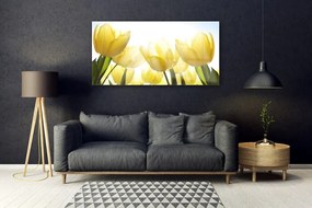 Obraz plexi Tulipány kvety lúče 120x60 cm