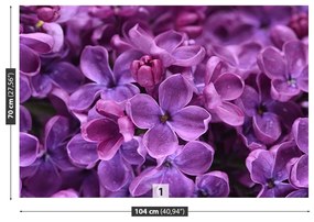 Fototapeta Vliesová Fialové kvety 104x70 cm