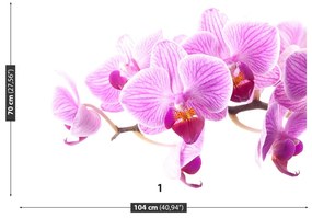 Fototapeta Vliesová Ružová orchidea 104x70 cm