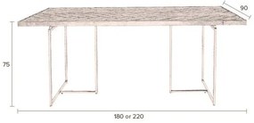 Jedálenský stôl s oceľovou konštrukciou Dutchbone Class, 220 x 90 cm
