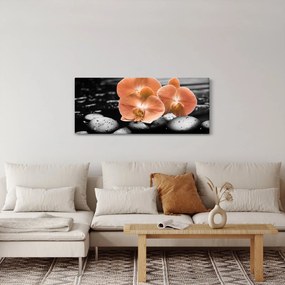 Obraz - Oranžové orchidey (120x50 cm)