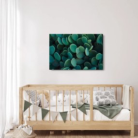 Obraz - Opuncie (90x60 cm)