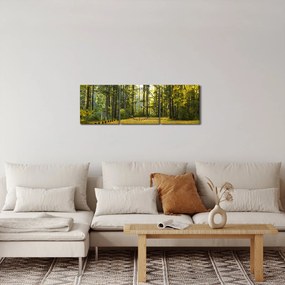 Obraz - les v jeseni (s hodinami) (90x30 cm)