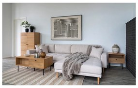 Dekoračný vankúš z umelej kožušiny 45x45 cm Galena – House Nordic