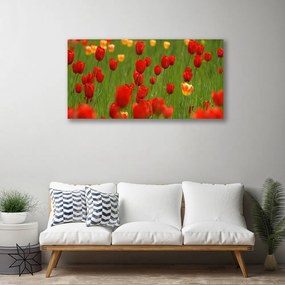 Obraz na plátne Tulipány rastlina 125x50 cm