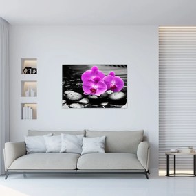 Obraz - Fialové orchidey (90x60 cm)