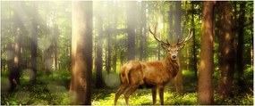 Obraz jeleňa v lese (120x50 cm)