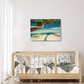 Sklenený obraz - Čisté more s palmou (70x50 cm)