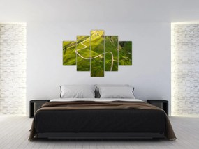 Obraz - Náhorná lúka (150x105 cm)