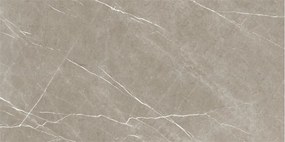 Dlažba Eternal Taupe Natural 60x120 R