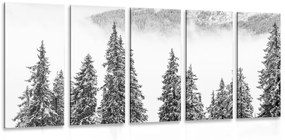 5-dielny obraz zasnežené borovicové stromy v čiernobielom prevedení - 200x100
