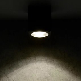 Vonkajšie nástenné svietidlo MORRIS 1xGU10/35W/230V IP54