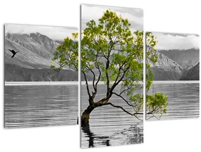 Obraz stromu uprostred jazera (90x60 cm)