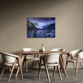 Obraz - Yosemite, USA (70x50 cm)