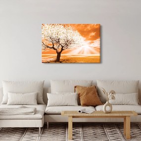 Oranžový obraz stromu (90x60 cm)