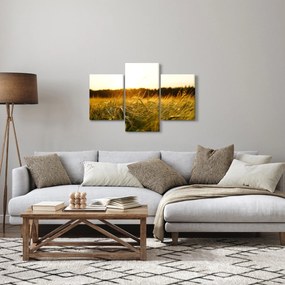 Obraz orosenej trávy (90x60 cm)
