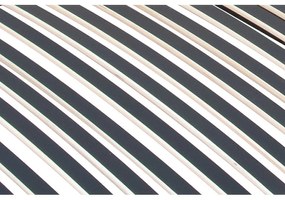 ECOMATRACE  LUXUSNÝ ROŠT TRIOFLEX MOTOR QUATTRO MEMORY RADIO